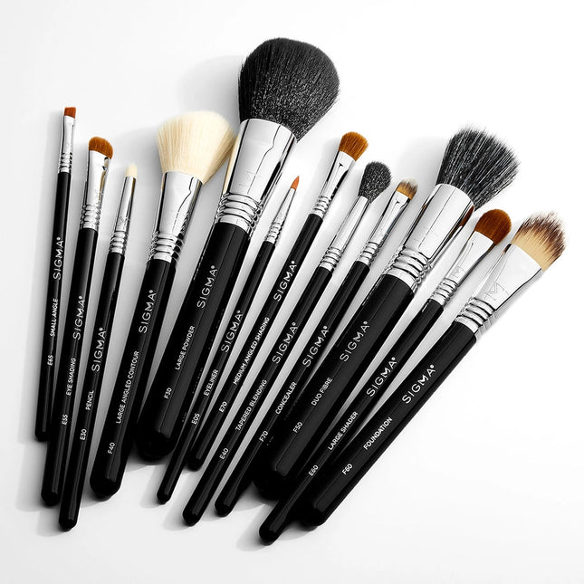 Sigma Essential Brush Set