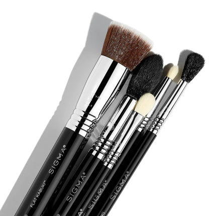 Sigma Most-Wanted Brush Set