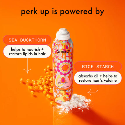 Amika Perk Up Dry Shampoo