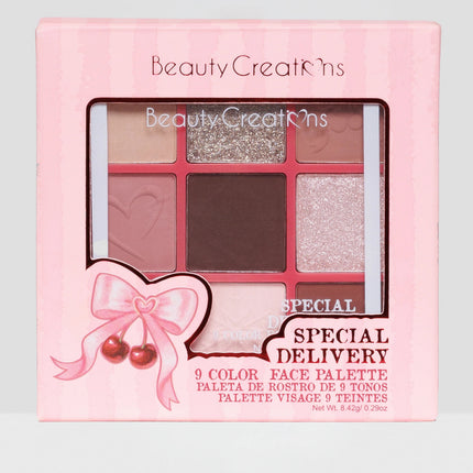 Beauty Creations Xmas Special Delivery 9 Colors Face Palette