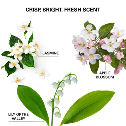 Color Wow Insta-WOW Advanced Dry Shampoo