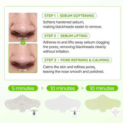 Dr. Melaxin CACTOX 3-Step Nose Mask Pack