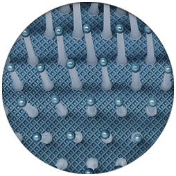 Olivia Garden EcoHair Paddle - 12 PC Display