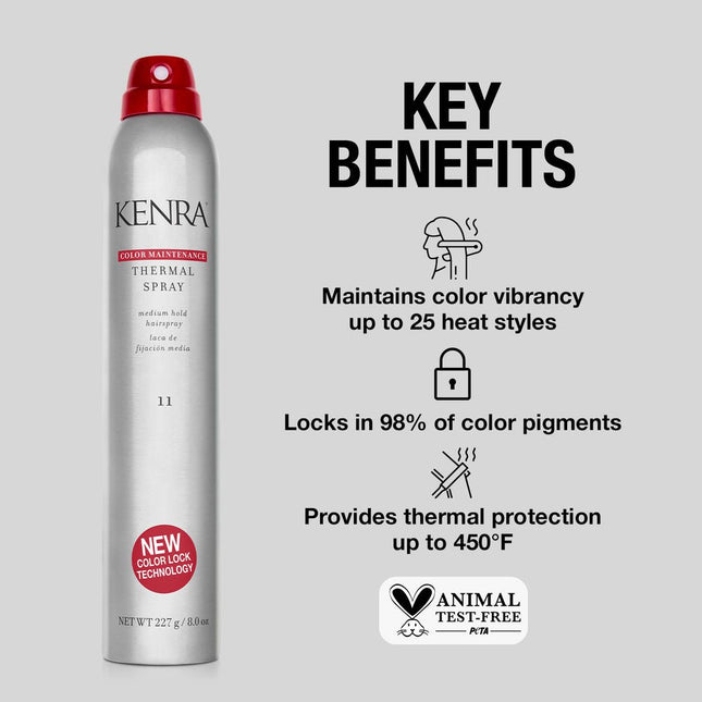 Kenra Professional Color Maintenance Thermal Spray 11 2