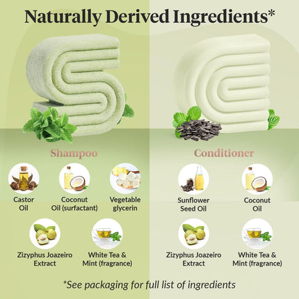 kitsch Tea Tree Shampoo and Conditioner Set – Anti Dandruff