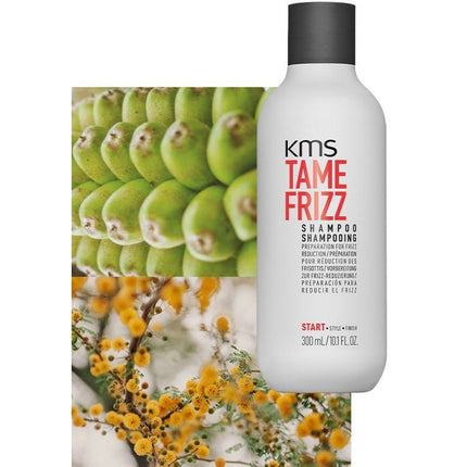 kms-tamefrizz-shampoo-2