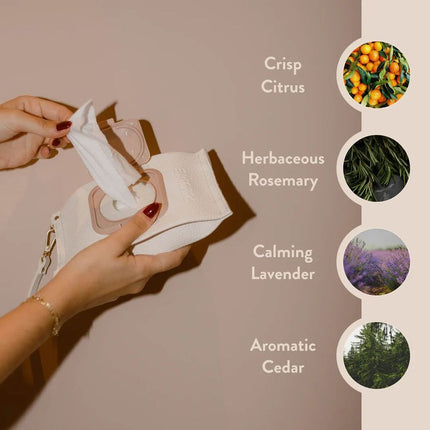 PAUME Cleansing Hand and Body Wipes