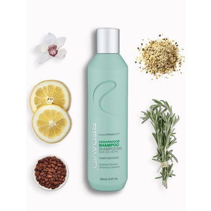 redavid-cedarwood-shampoo-2