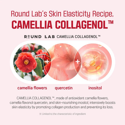 ROUND LAB Camellia Deep Collagen Firming Ampoule