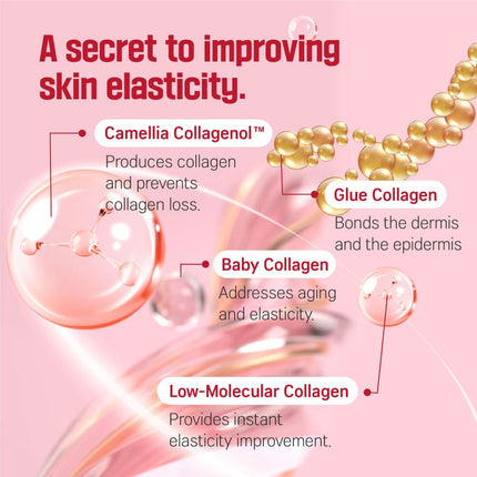 ROUND LAB Camellia Deep Collagen Firming Ampoule