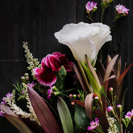 Viori Moisturizing Conditioner Bar - Terrace Garden | For Dry Ends 6