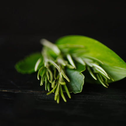 Viori Rosemary & Biotin  Conditioner Bar For Weak + Thinning Ends 1