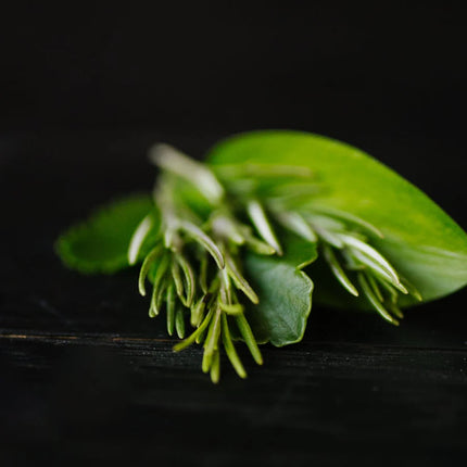 Viori Rosemary & Biotin Shampoo Bar For Weak + Thinning Hair