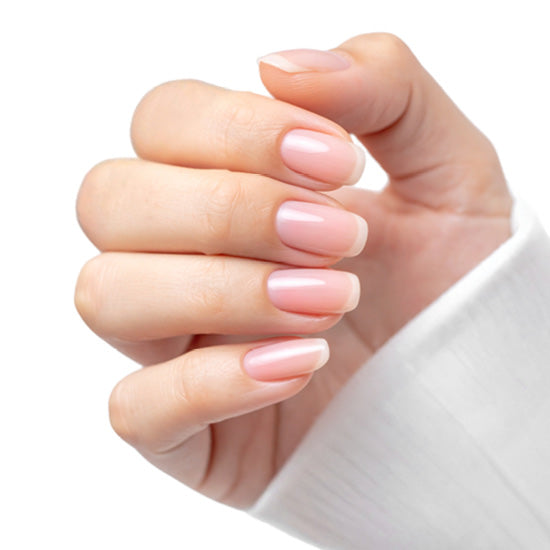 ZOYA Pure Perfection System Kit