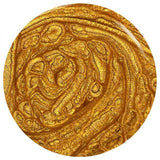 ORLY Golden Record