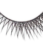 edgy lashes 403 - ardell - lashes