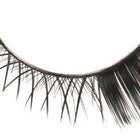 edgy lashes 404 - ardell - lashes